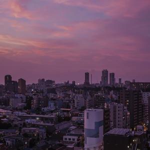 健身教练巨大粗爽Gay
