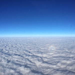 健身教练巨大粗爽Gay
