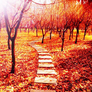 健身教练巨大粗爽Gay
